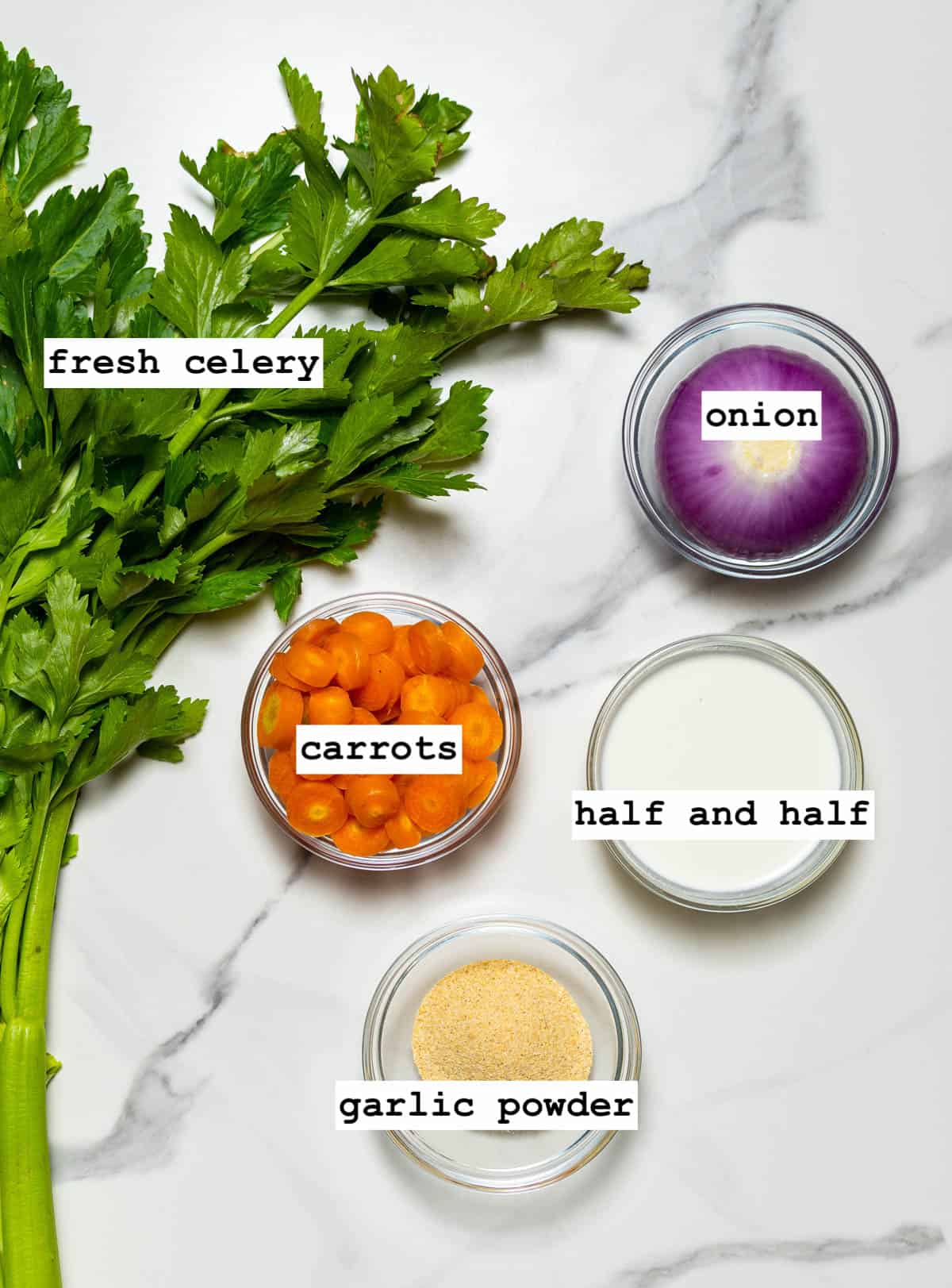overlay shot of the ingredients needed to make carrot and celery soup