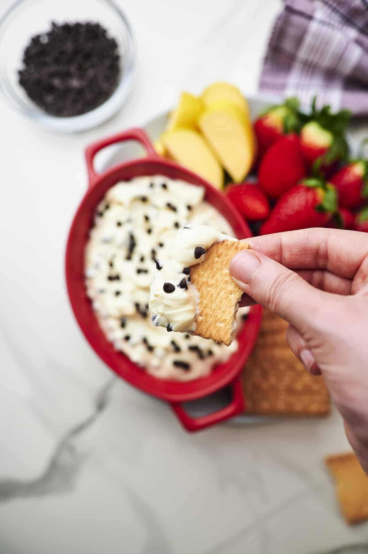 graham cracker dipped in chocolate chip cream cheese dip